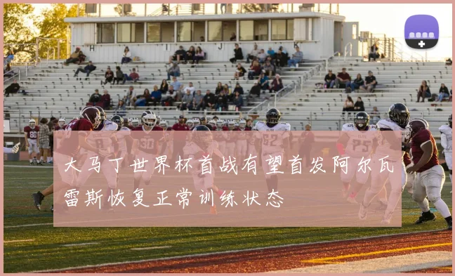 大马丁世界杯首战有望首发阿尔瓦雷斯恢复正常训练状态